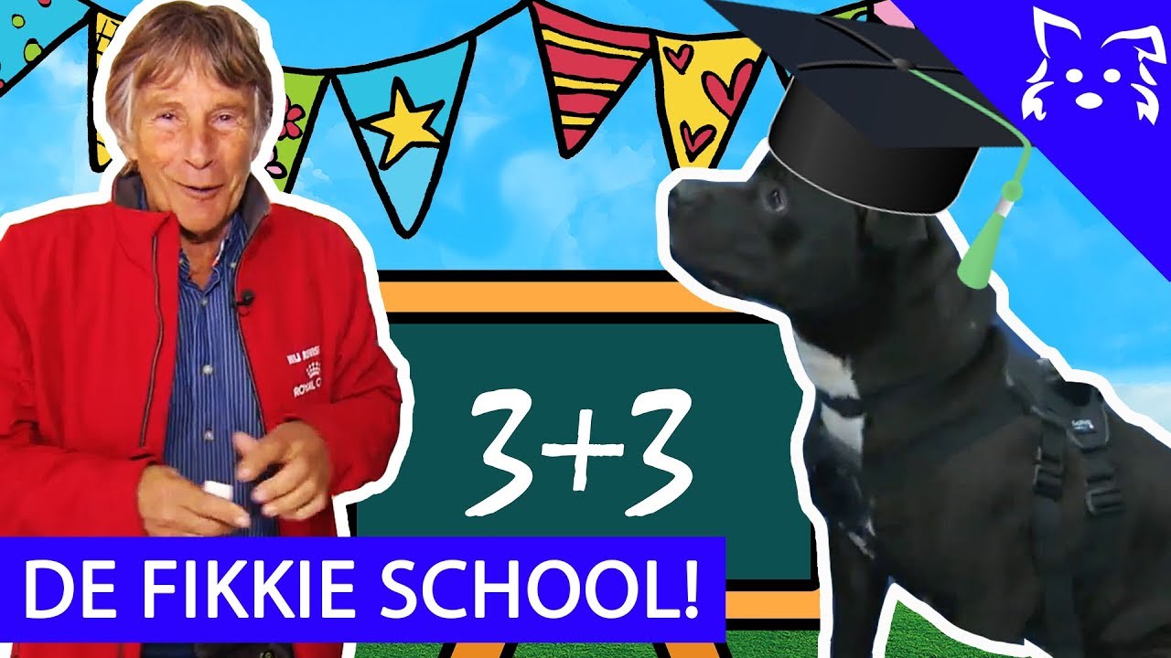 Hoe VOORKOM je het TREKKEN aan de LIJN? - Fikkie School