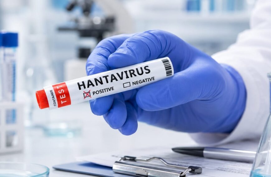 Who meldt nieuwe besmetting met Hantavirus in Nederland