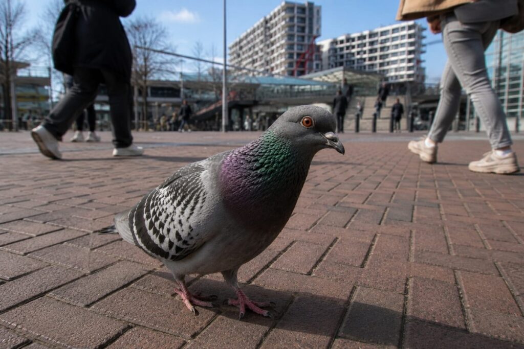 Incident in winkelcentrum