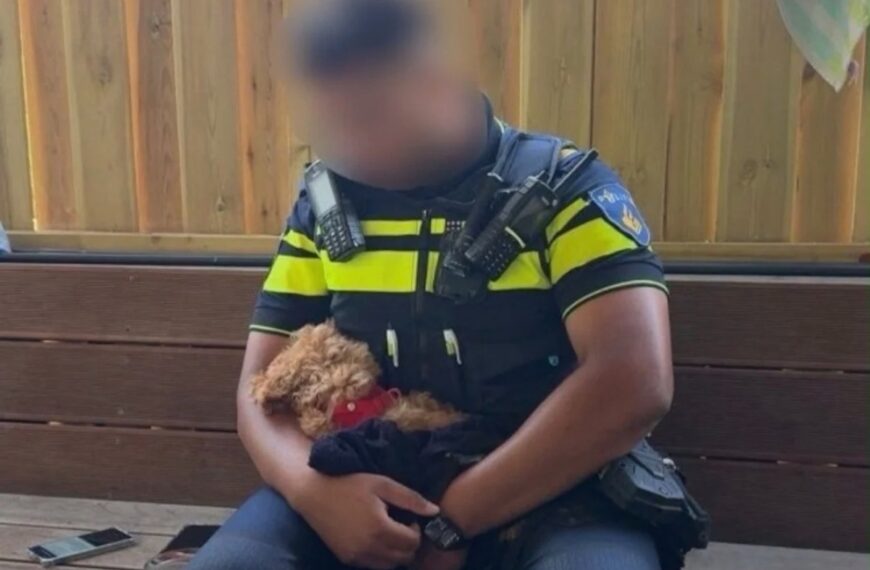 Hond oververhit en buiten bewustzijn gevonden in kinderwagen