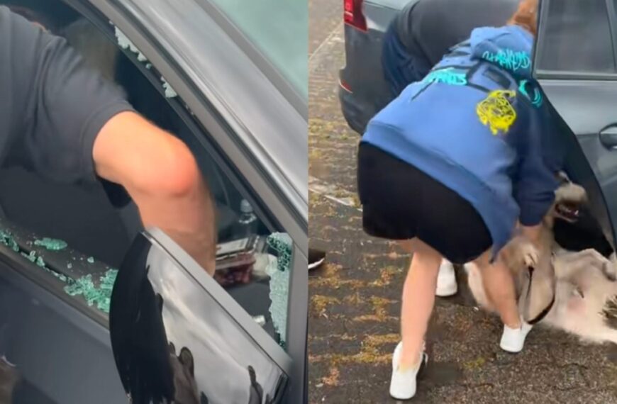 Nederlander redt hond uit snikhete auto op parkeerplaats van pretpark
