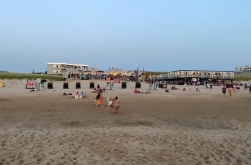 Drie zwemmers meegesleurd de zee in: Reddingsbrigade slaat alarm