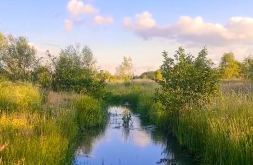 Indrukwekkend natuurverschijnsel binnenkort zichtbaar boven Nederland