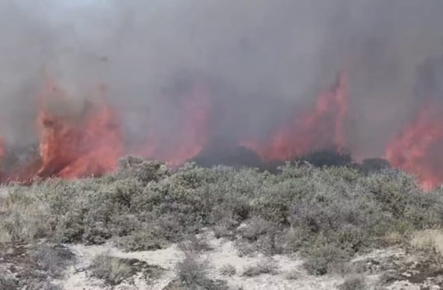 Vuurzee in de duinen: hotel ontruimd en NL-Alert verstuurd