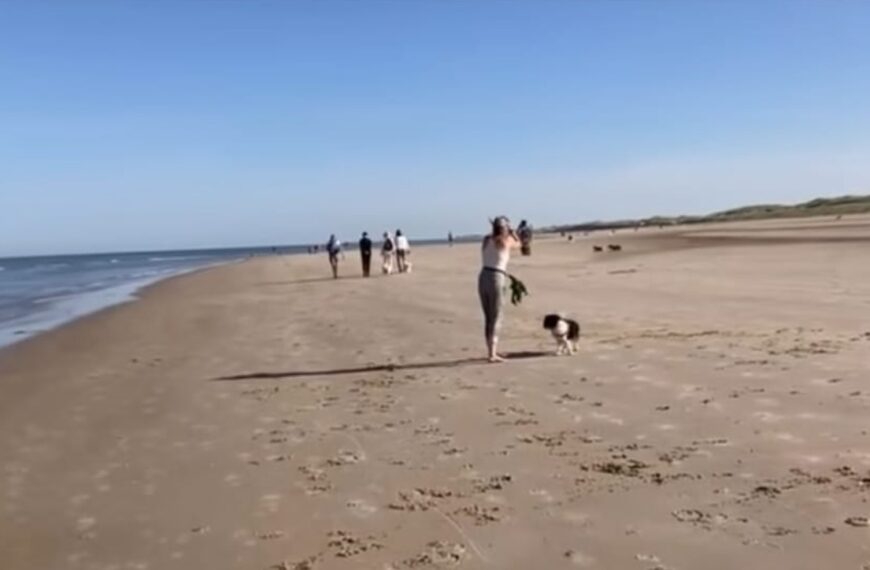 Grote schrik op strand: mountainbiker rijdt over jonge pup heen en stopt&hellip;