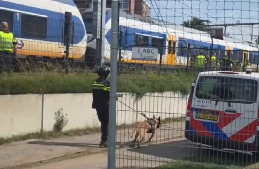 Paniek in bomvolle NS-trein na vechtpartij: reiziger trekt noodrem