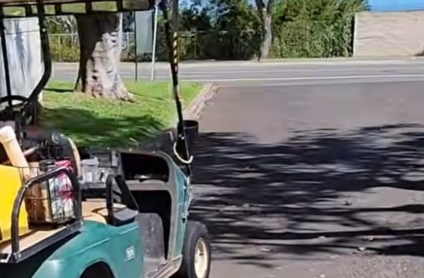 Vreselijk drama: golfkarretje met drie kinderen slaat over de kop