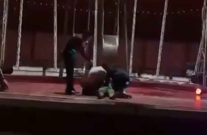Grote paniek in circustent: act gaat vreselijk mis