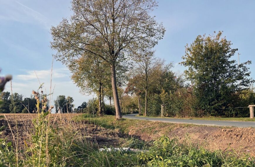 Afschuwelijke ontdekking langs de weg: voorbijgangers vinden dode pasgeboren baby